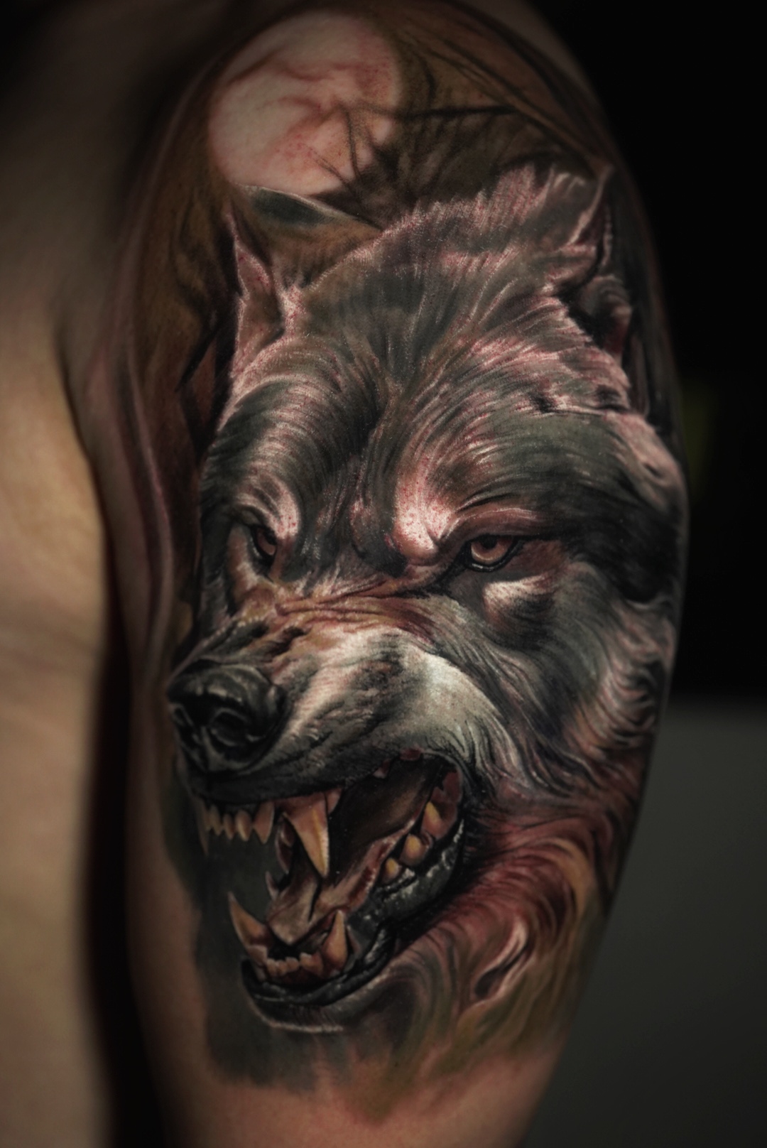 Realistic tattoo of a snarling wolf on an upper arm